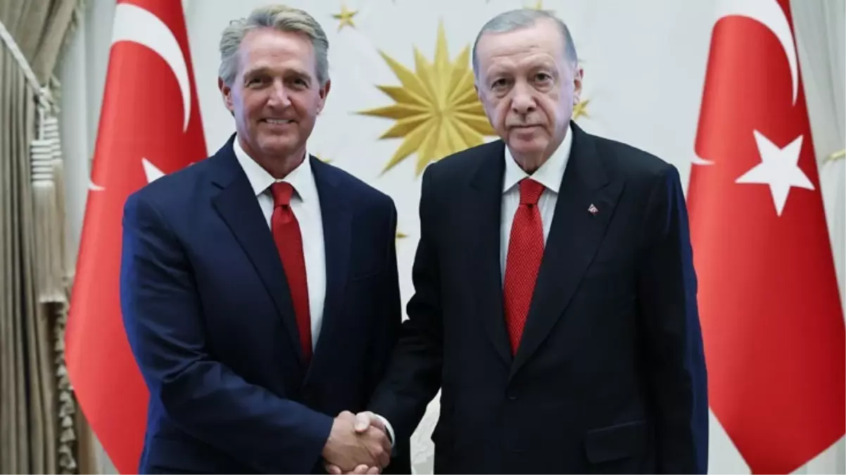 Cumhurbaşkanı Erdoğan, “Biraz kafanı çalıştır” dediği ABD Büyükelçisi Flake ile görüştü